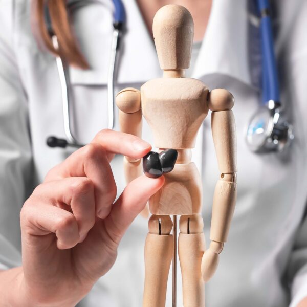 a doctor holding a Liver