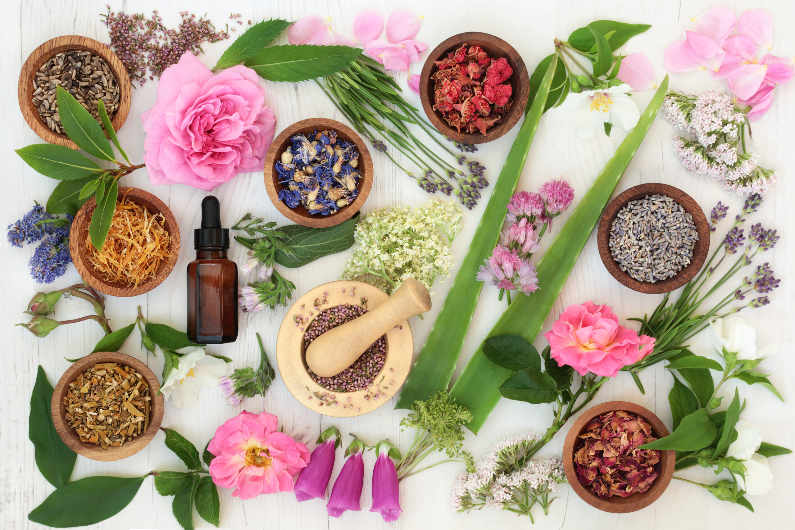 Healing flower and herb selection used in natural alternative medicine on distressed white wood background.