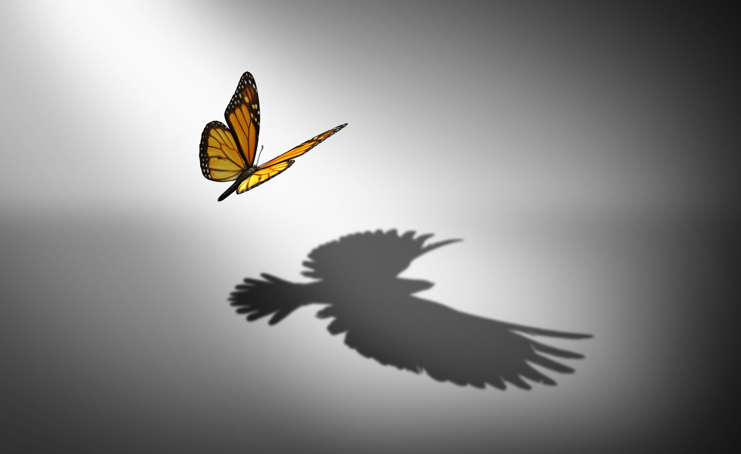 Aspiration for change and ambition for improvement and success as a metaphor for growth and transformation as a butterfly casting a shadow of a flying bird with 3D illustration elements.