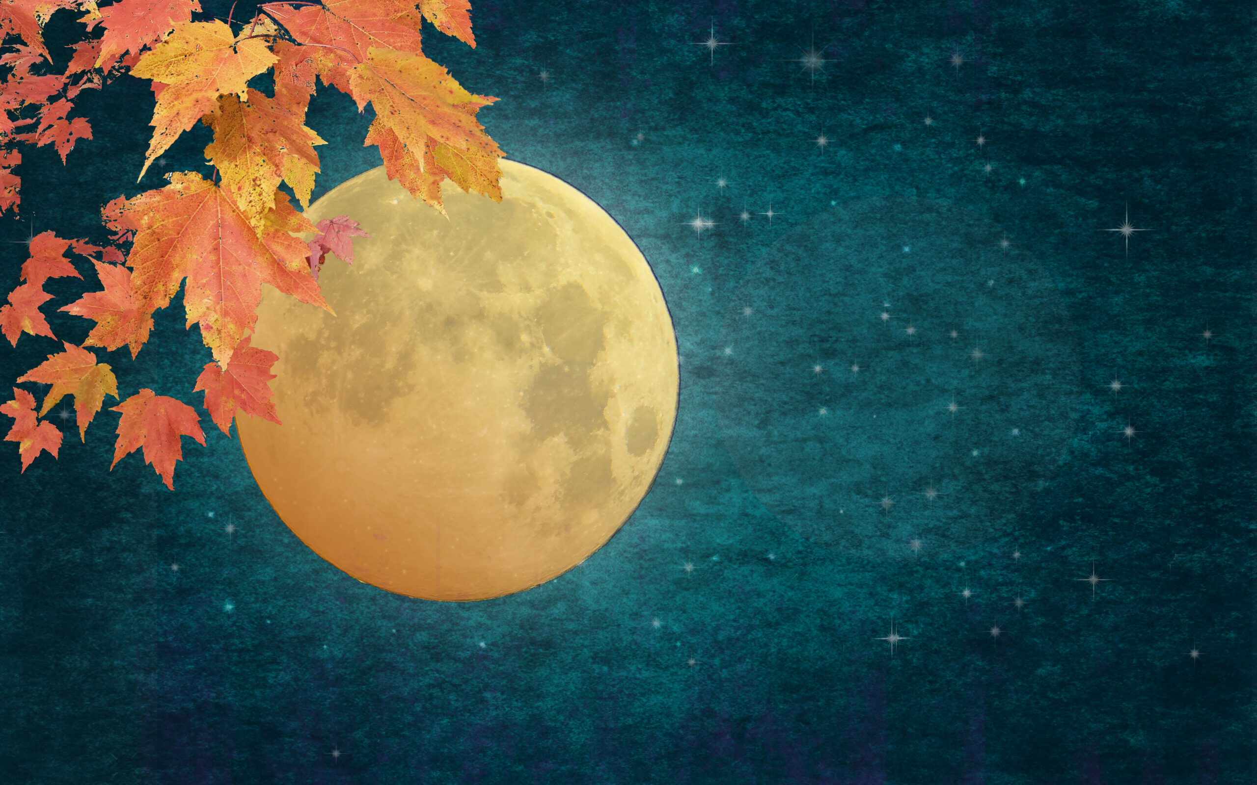 Autumn Leaves, Full Moon, Starry Sky, Copy Space - Atmospheric Mood - Elements of this image are provided by NASA