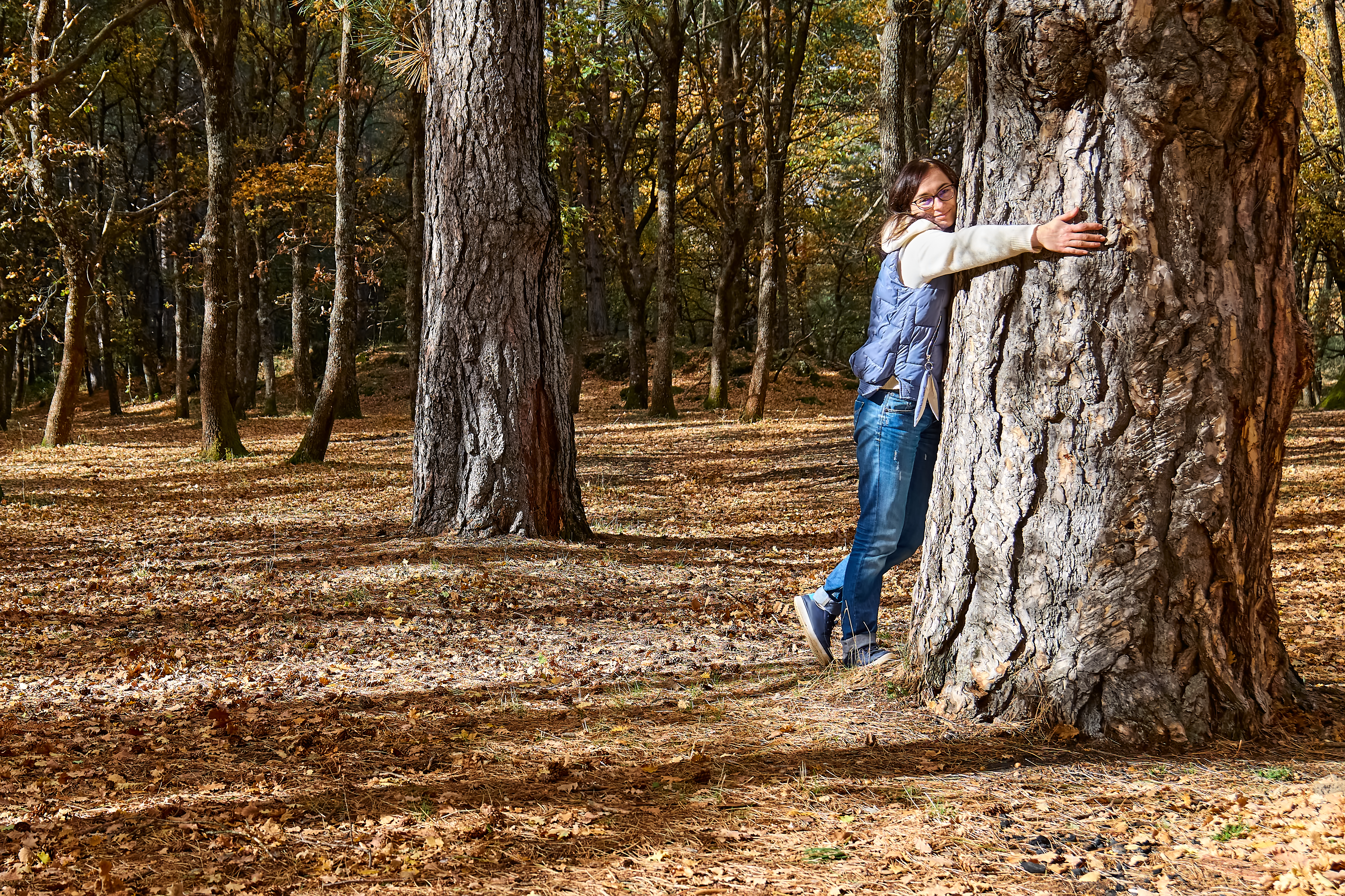 happy-woman-hugging-big-tree-in-autumn-forest-2023-11-27-05-30-31-utc